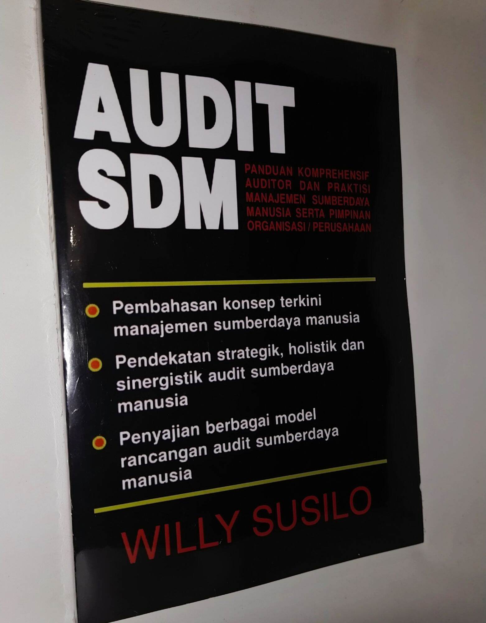 AUDIT SDM PANDUAN KOMPREHENSIF AUDITOR DAN PRAKTISI MANAJEMEN SUMBER