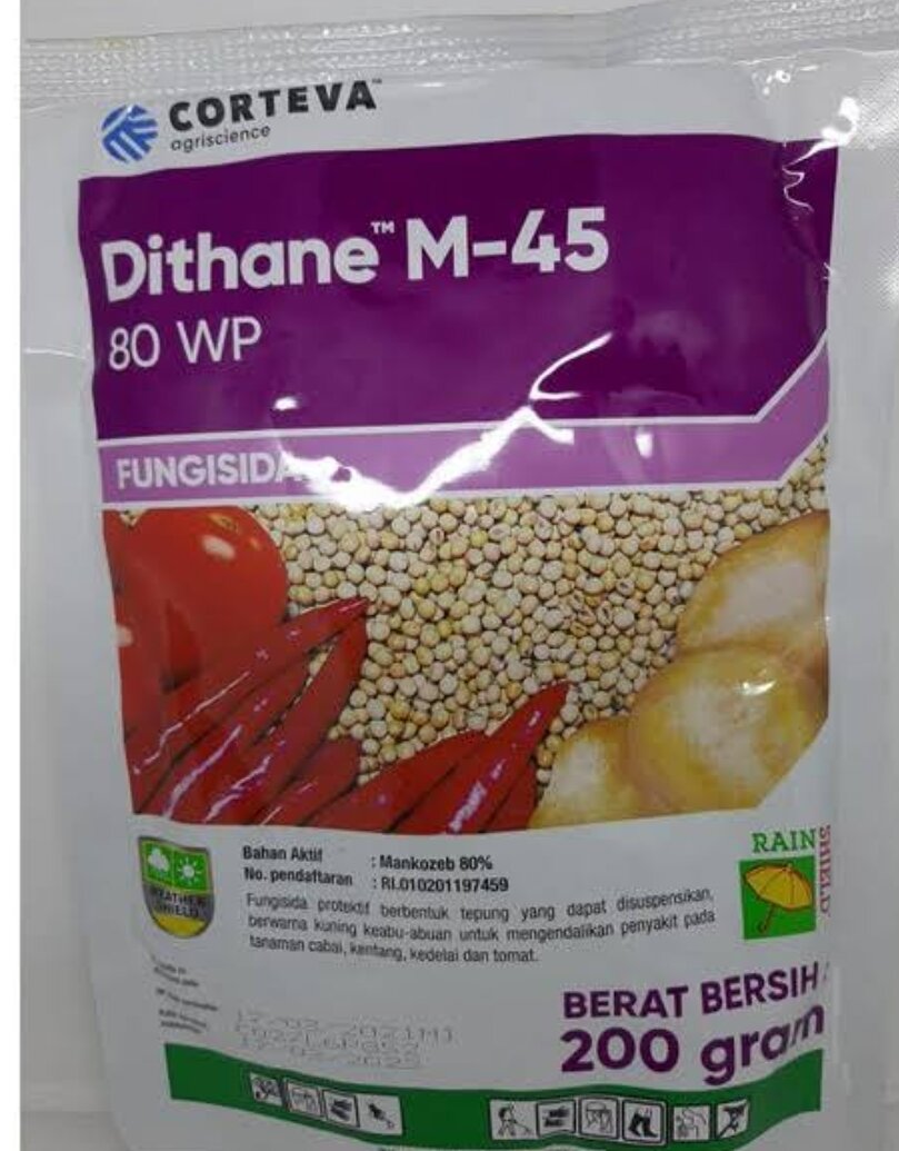 Fungisida Dithane Wp Gram Lazada Indonesia