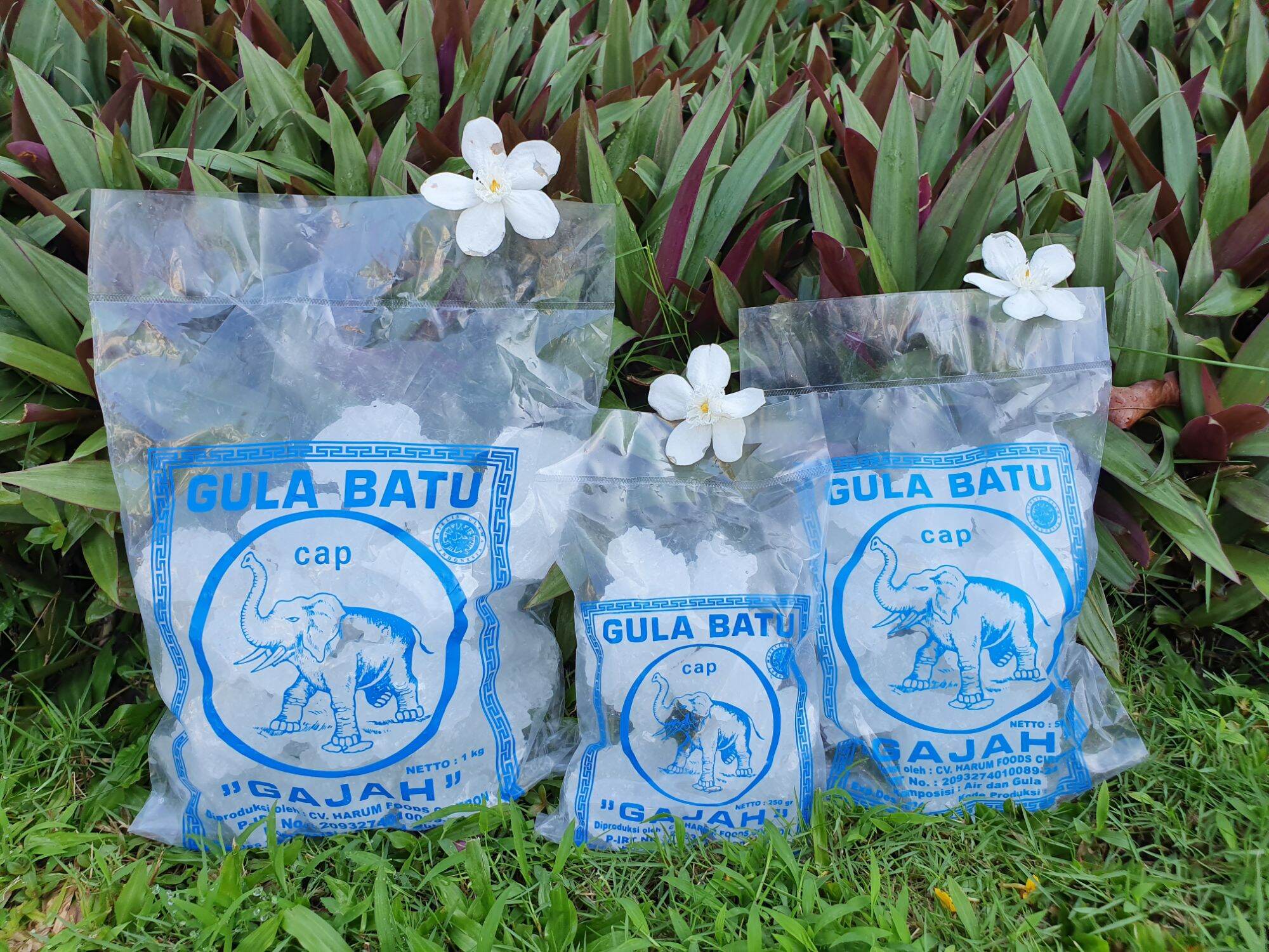 Gula Batu Kristal Cap Gajah Halal Kemasan Gr Lazada Indonesia