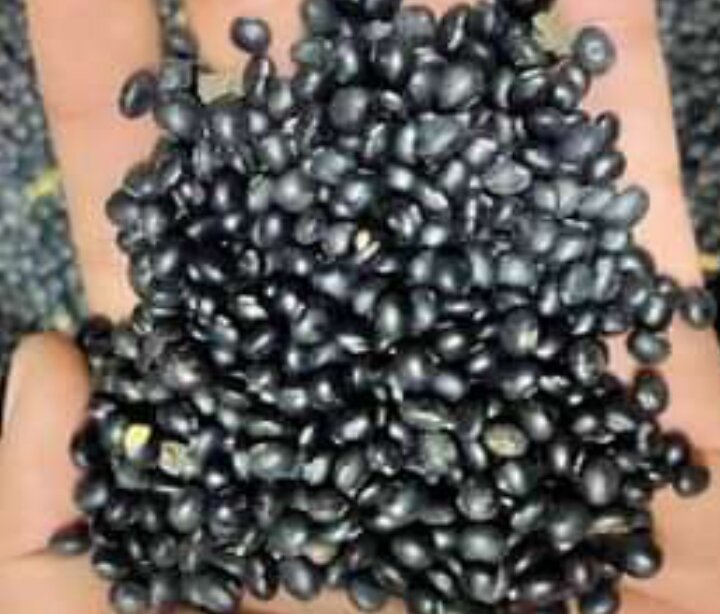 Kedelai Hitam 1kg Lazada Indonesia