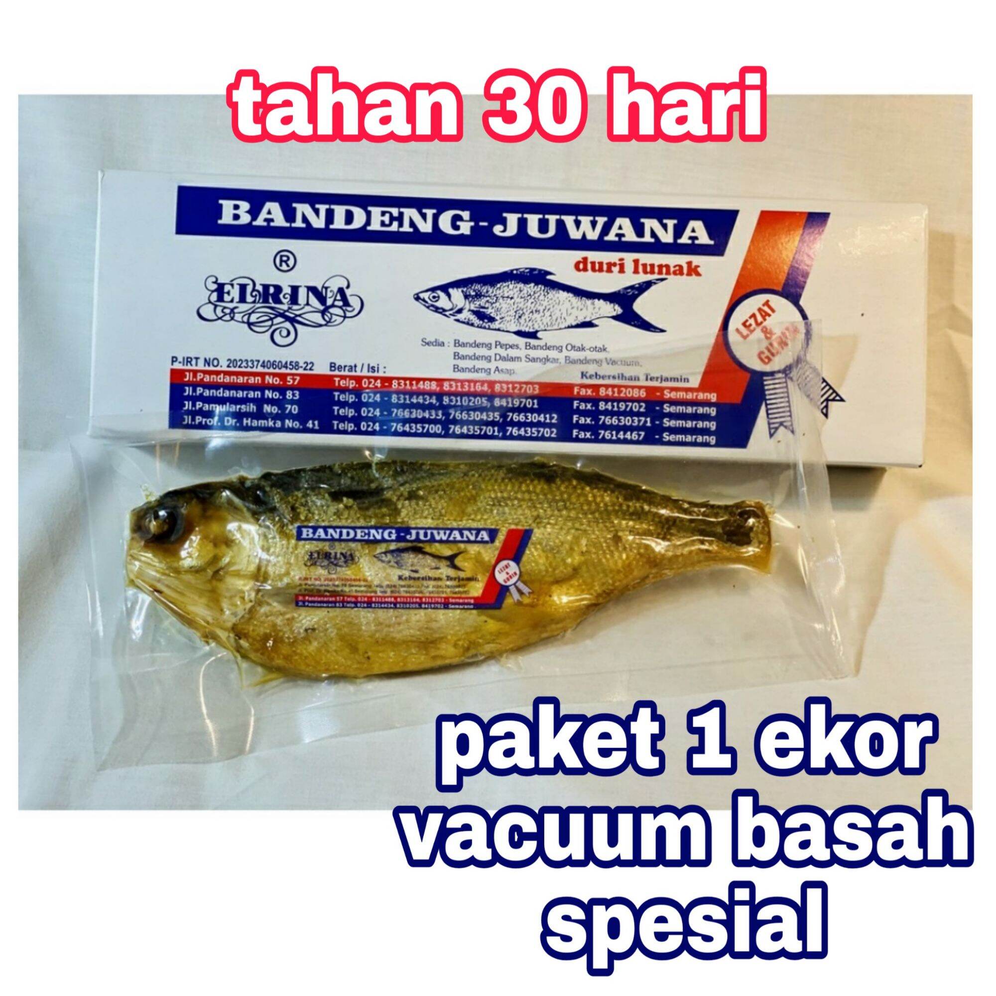 Bandeng Presto Duri Lunak Juwana Elrina Semarang Vacuum Basah Spesial 1