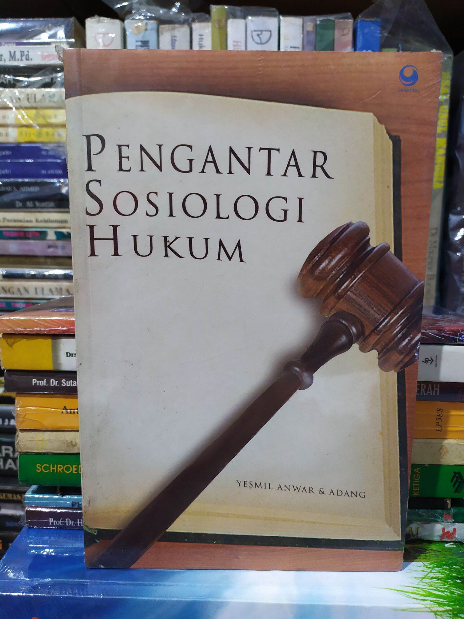 Buku Pengantar Sosiologi Hukum Lazada Indonesia