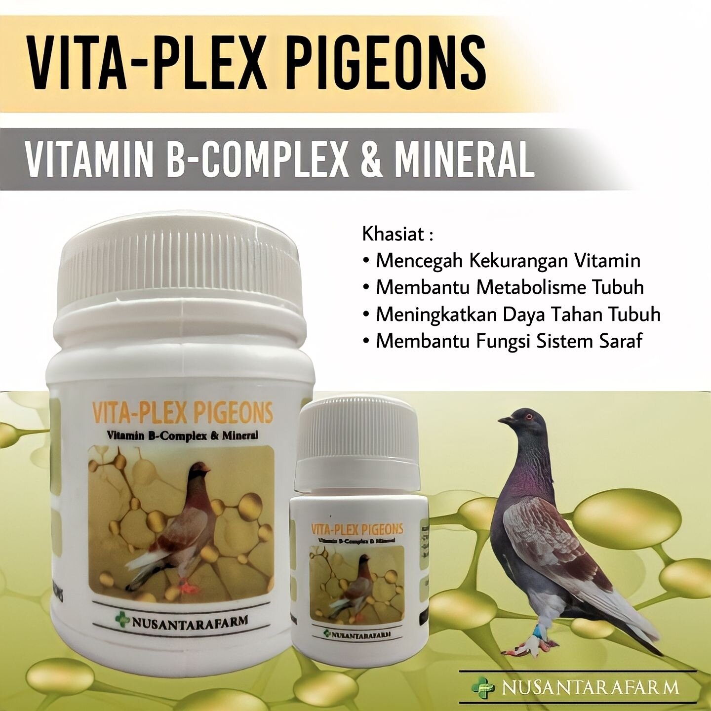 Vita Plex Pigeons Vitamin B Complex Merpati Lazada Indonesia