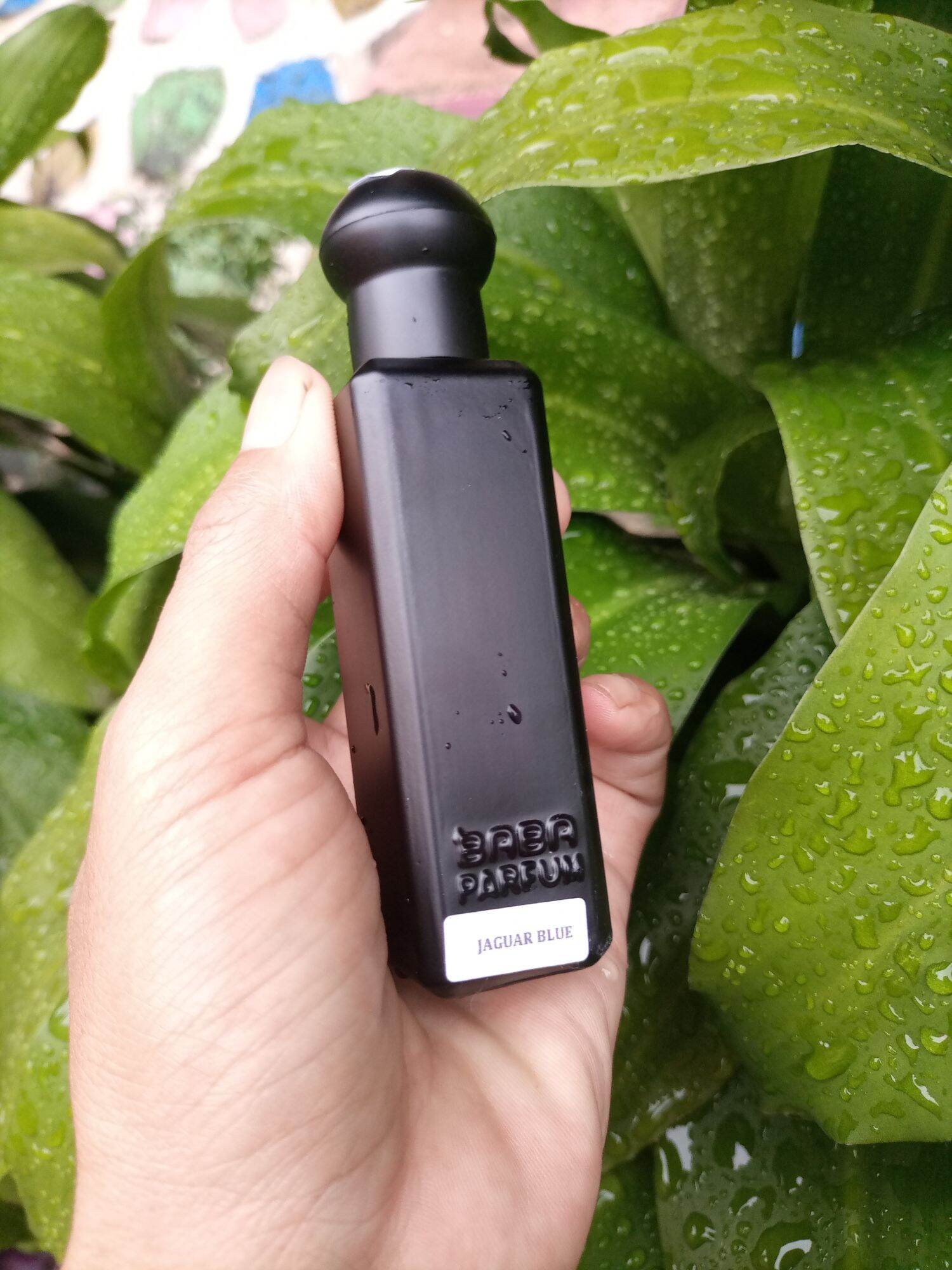 Baba Parfum Indonesia Lazada Indonesia