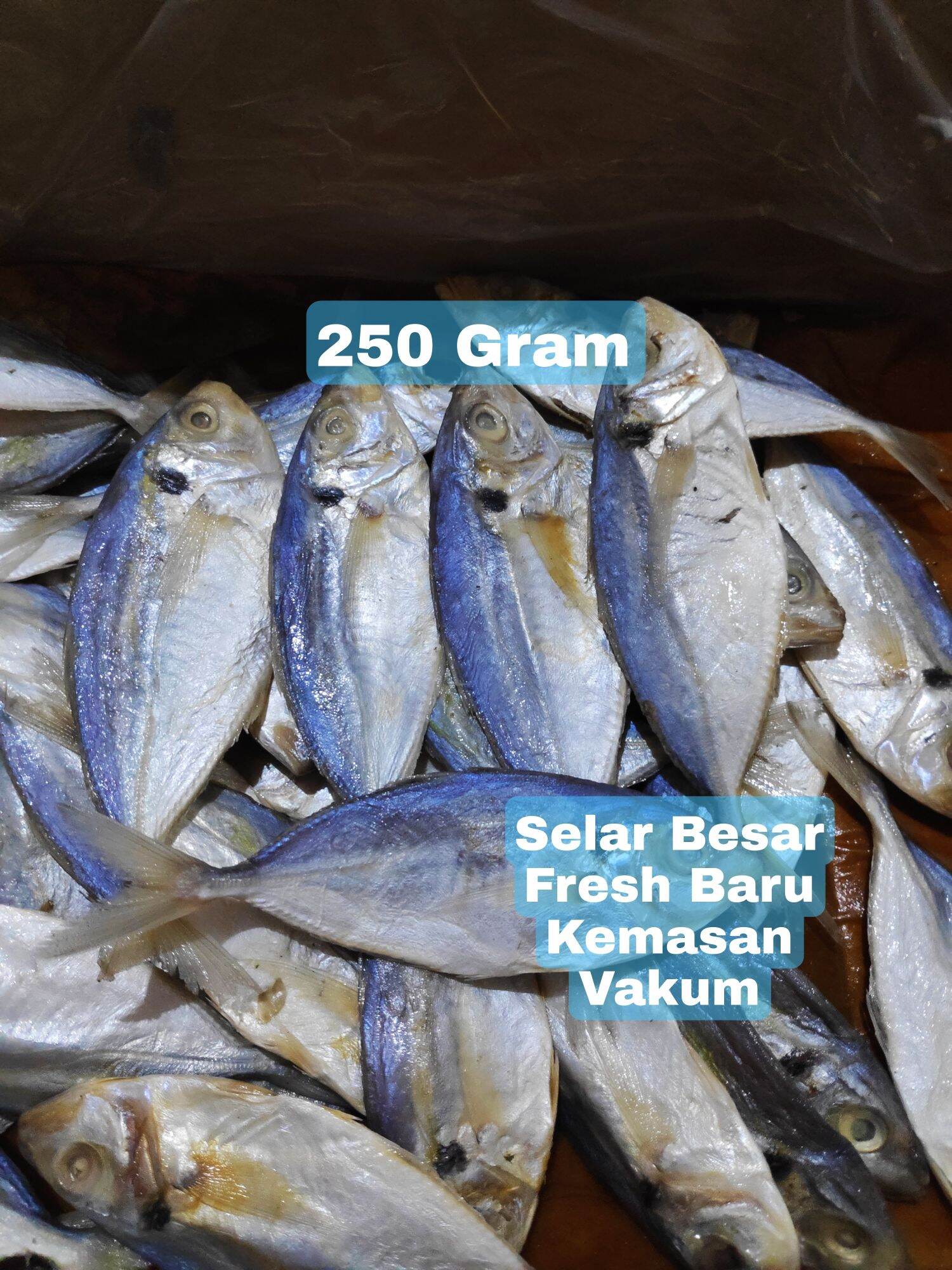 Ikan Asin Selar Size Besar 250 Gram Lazada Indonesia