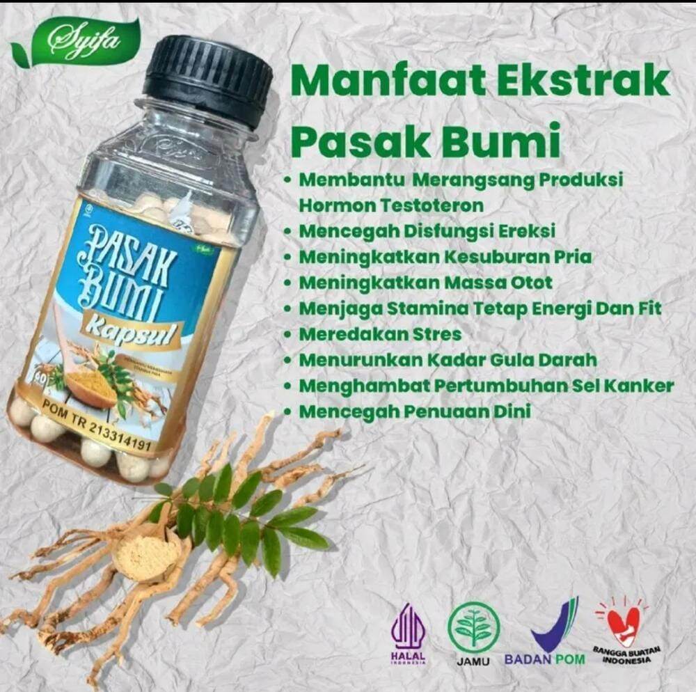 Kapsul Pasak Bumi Tongkat Ali 60kapsul Syifa Herbal Lazada Indonesia