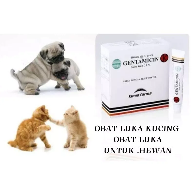 Salep Luka Kucing Anjing Kelinci Obat Luka Kucing Lazada Indonesia