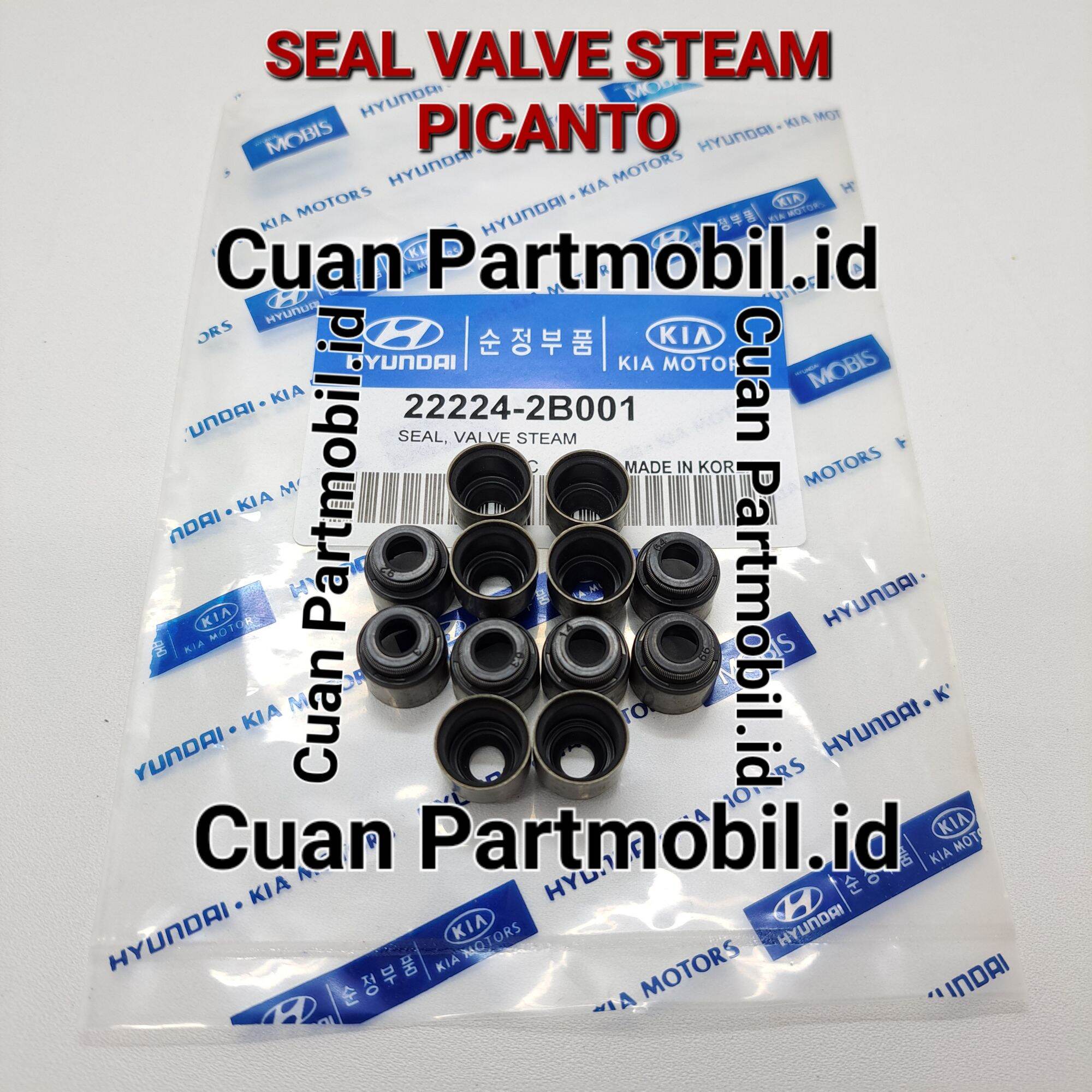 VALVE STEAM SEAL KLEP KIA PICANTO COSMO VISTO HYUNDAI ATOZ Lazada