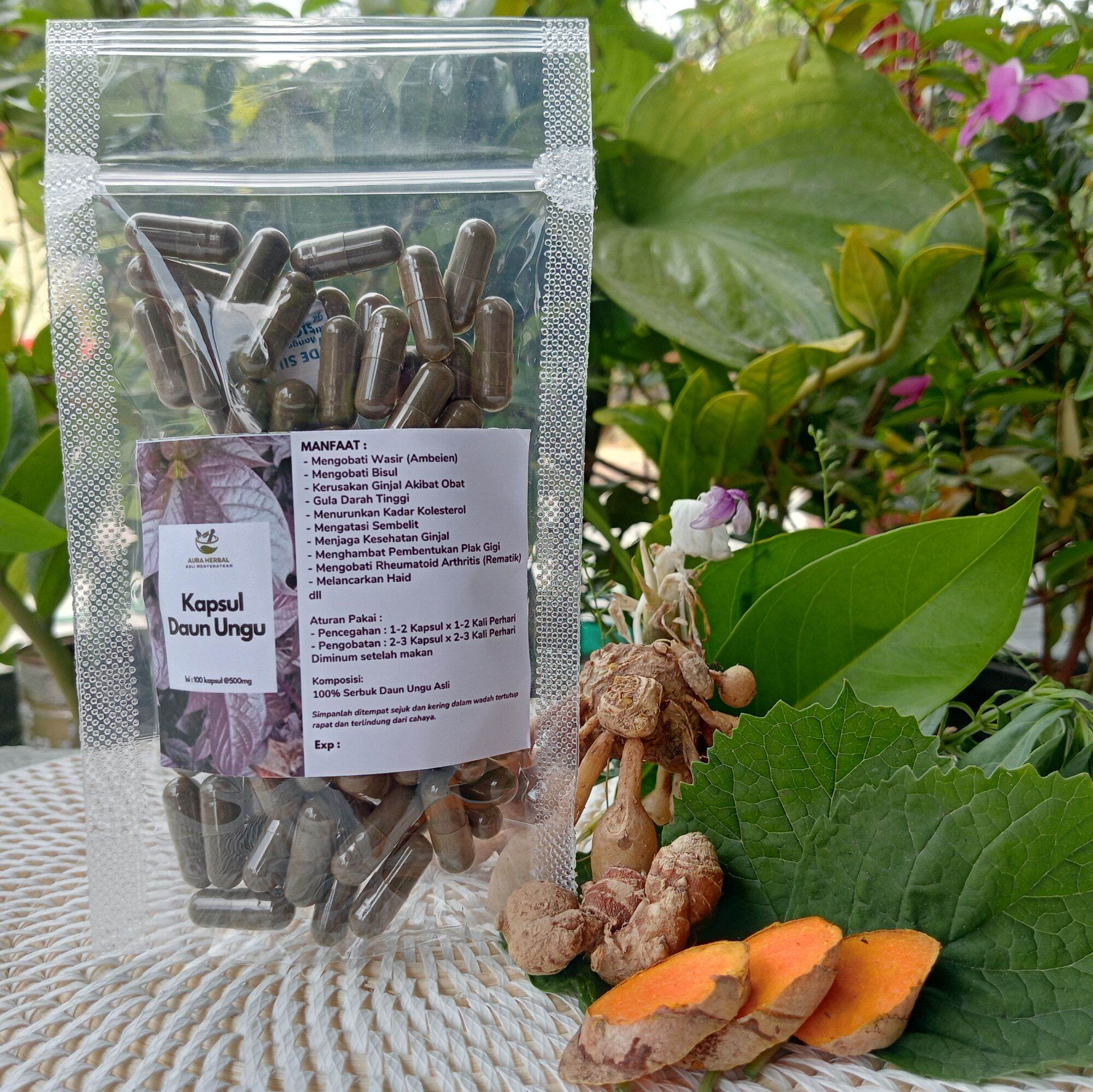 Kapsul Temu Putih Curcuma Zedoaria Original Herbal Kista Kanker