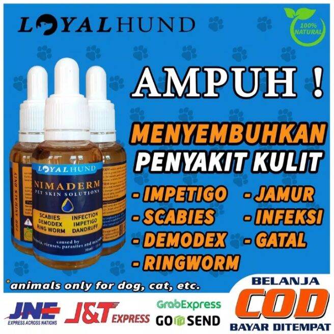 Obat Kulit Kucing Anjing Jamur Scabies Ringworm Demodex Lazada Indonesia