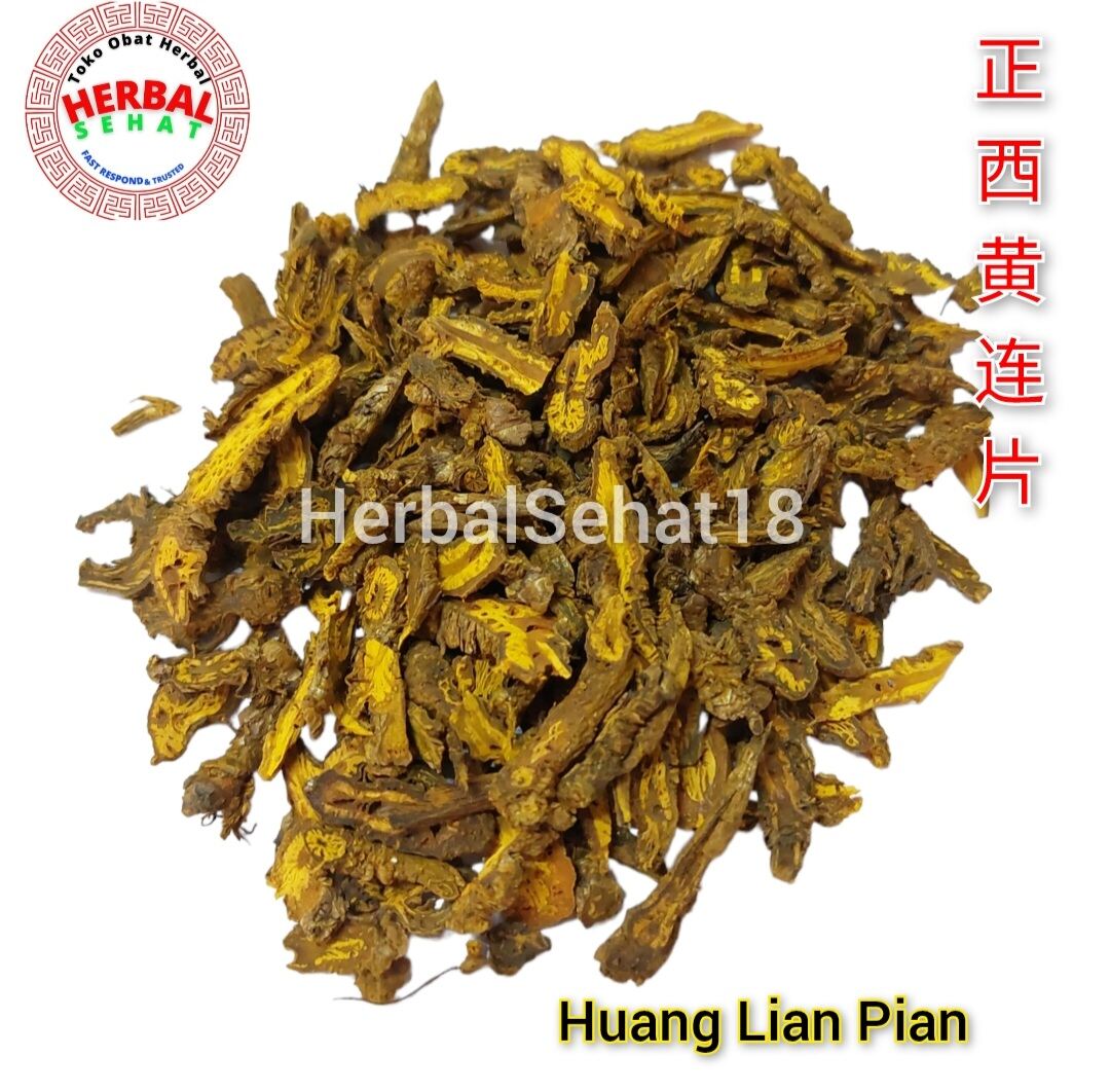 Huang Lian Coptis Rhizome Gram Rhizoma Coptidis Lazada Indonesia