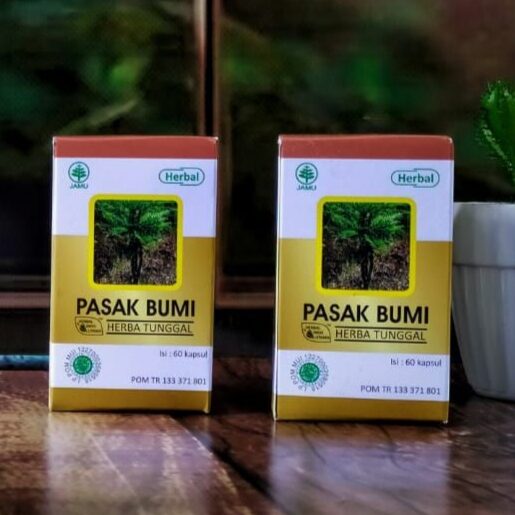 PASAK BUMI Herbal Indo Utama HIU Kapsul Ekstrak Akar Pasak Bumi