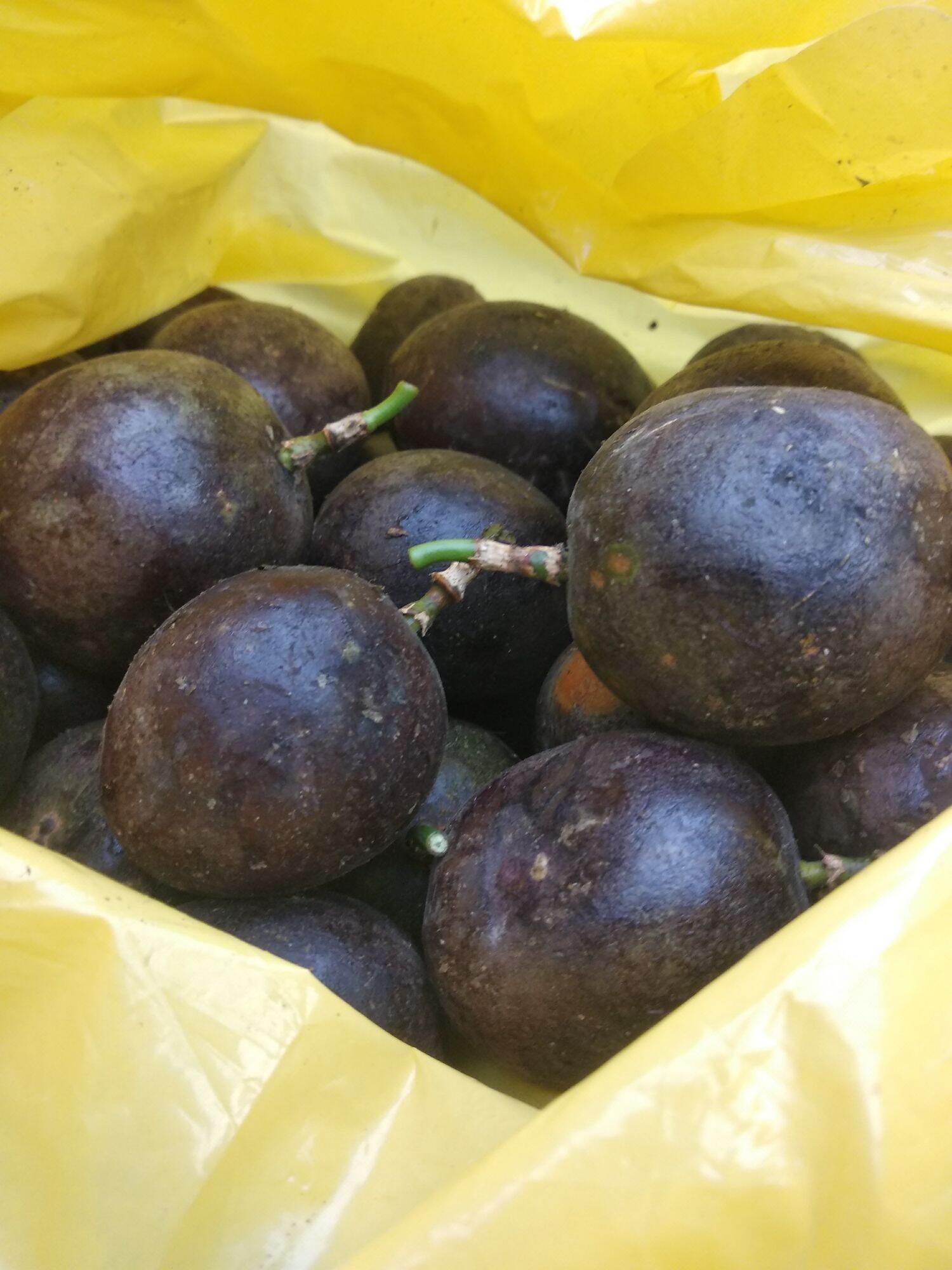 BUAH MARKISA HITAM ASLi BRASTAGI Berat 1 Kg Rasa Asam Manis Cocok