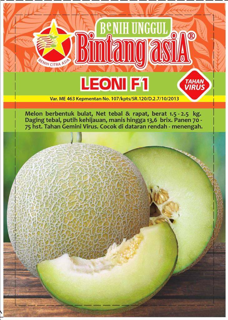 Benih Melon Bulat Daging Tebal Isi Gr Putih Kehijauan Tahan Virus