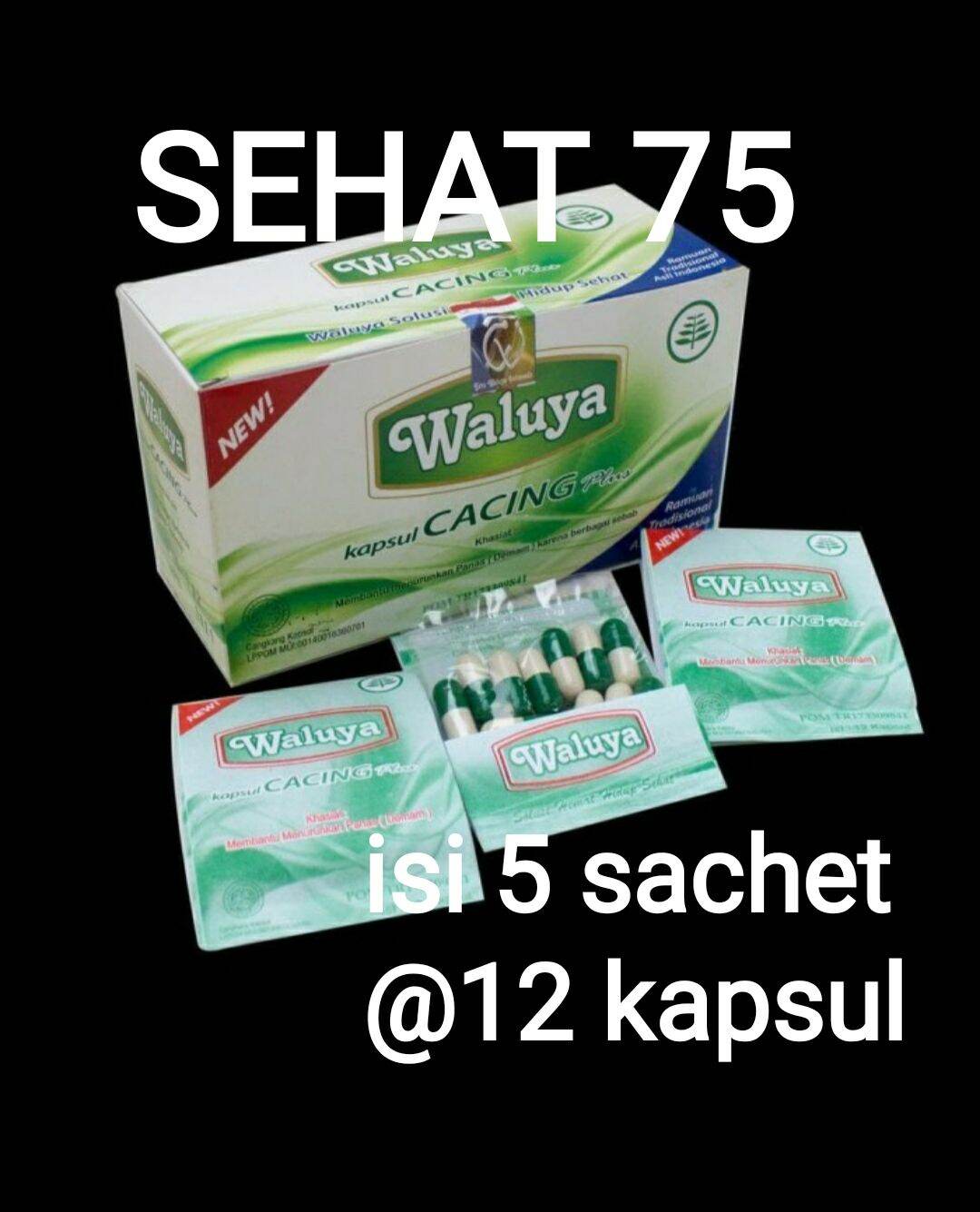 Kapsul CACING WALUYA 5 SACHET 1 Sachet Isi 12 Kapsul Lazada Indonesia