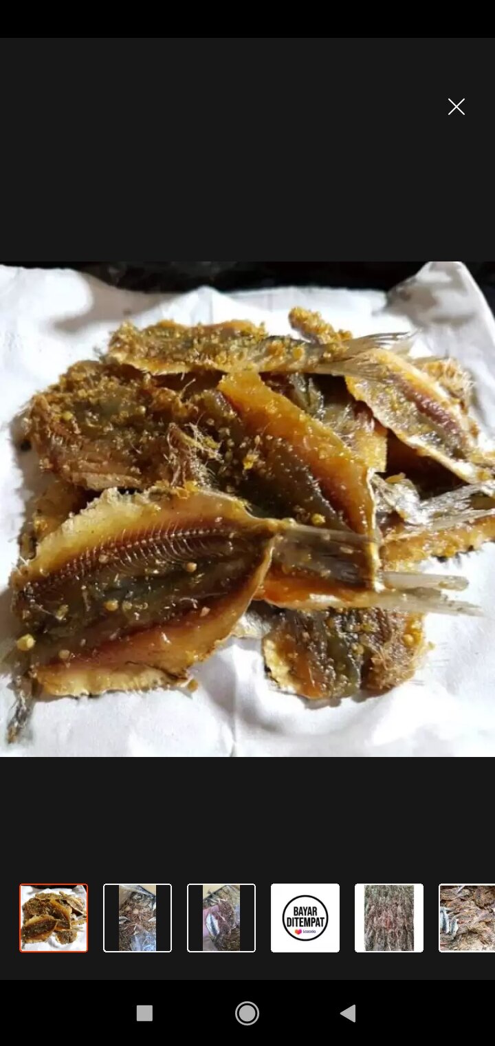 Ikan Asin Dendeng Manis 1kg Lazada Indonesia