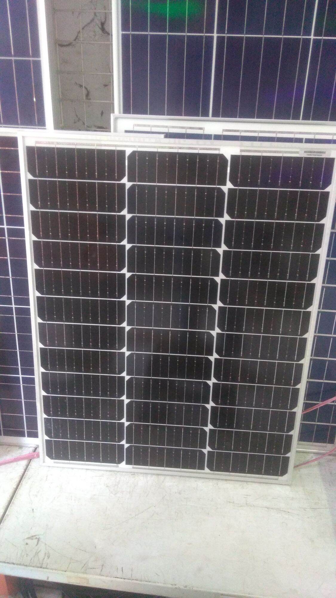 PANEL SURYA SOLAR CELL SOLAR PANEL SUN ASIA 50WP MONO Lazada