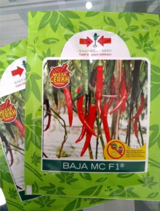 Benih Cabe Besar Baja Mc F Butir Cap Panah Merah Lazada Indonesia