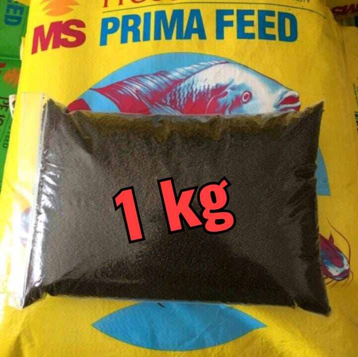 Pelet Pakan Ikan Pf Kg Repacking Utk Benih Lele Nila Gurame