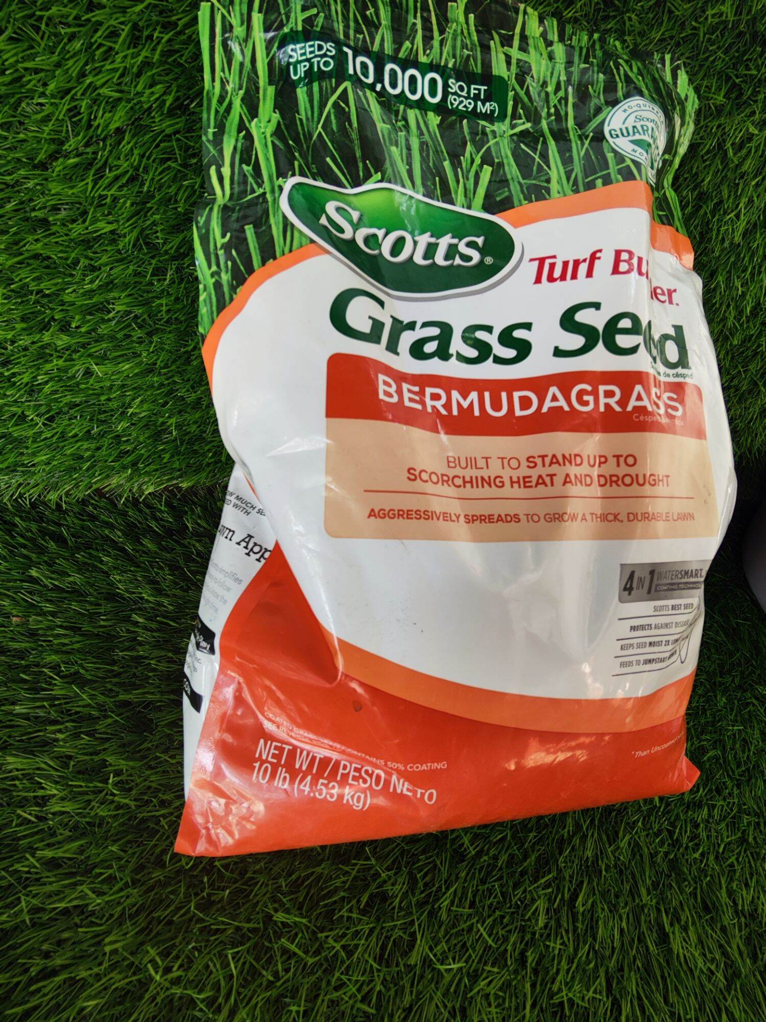 ORIGINAL Biji Benih Rumput Bermuda Grass 25gr Rumput Lapangan Bola