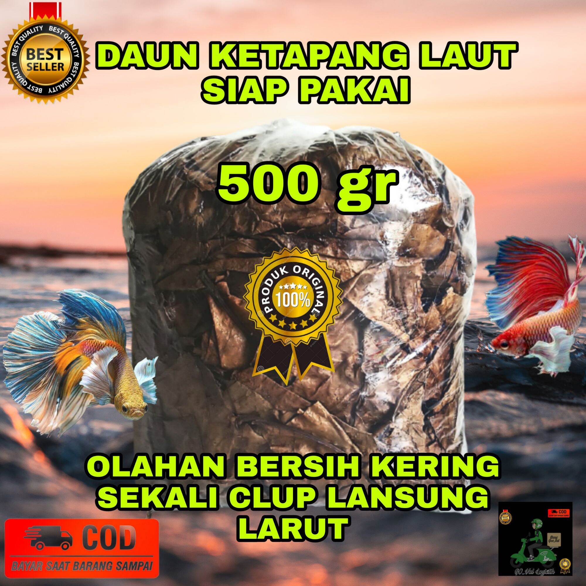 Daun Ketapang Laut Olah Siap Pakai Berat Bersih 500gr Lazada Indonesia