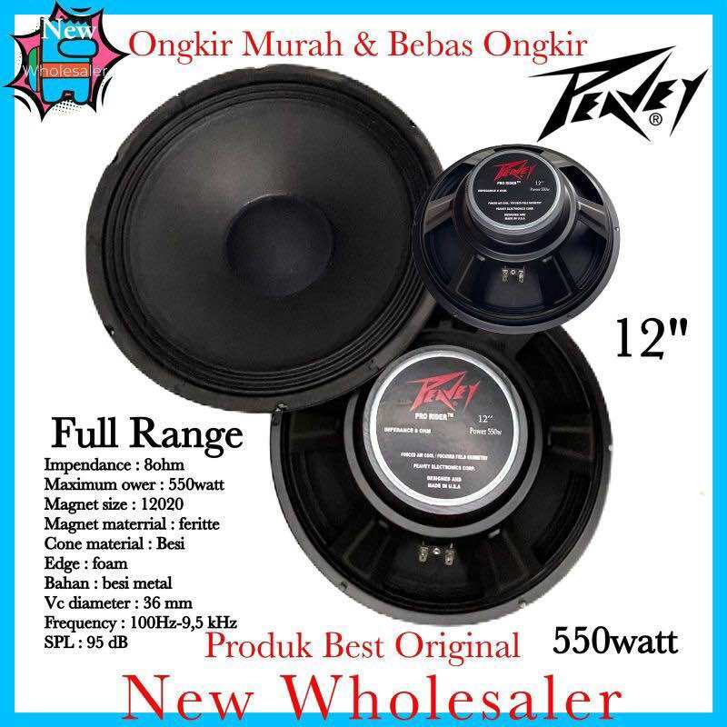 Speaker Inch Peavey Pro Rider Watt Audio Full Range Componen