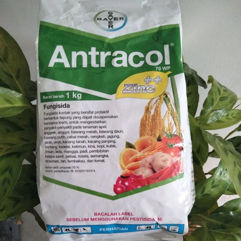 Fungisida Antracol 1kg Lazada Indonesia