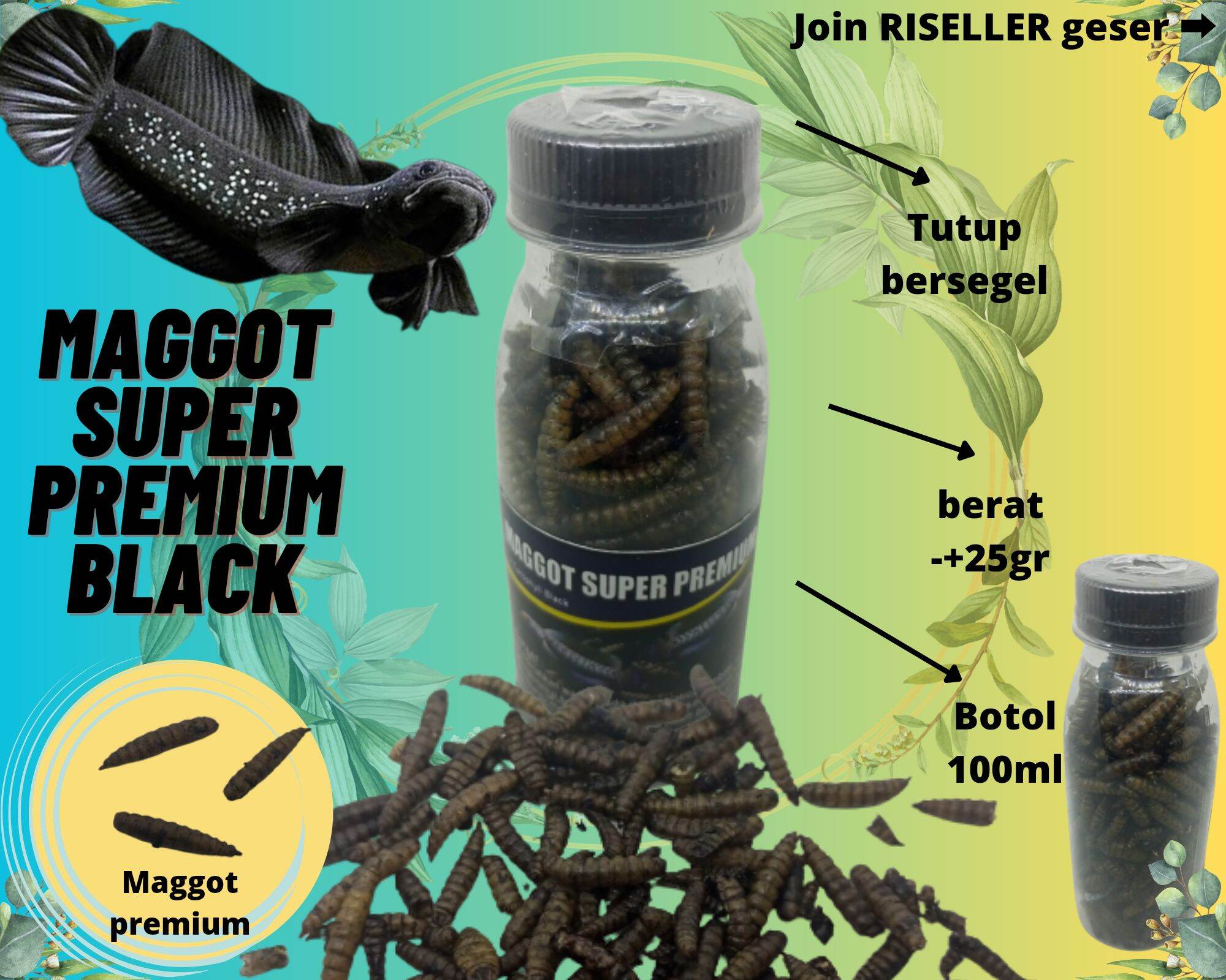 MAGGOT SUPER PREMIUM YELLOW MAGGOT KERING SUPER PREMIUM MAGGOT YELLOW