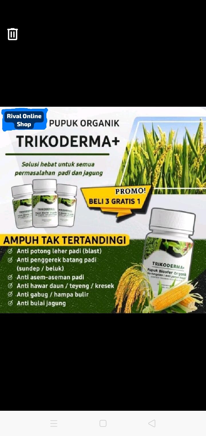 PUPUK TRIKODERMA BELI 3 GRATIS 1 ALFAGREEN Bio Fungisida Tricoderma