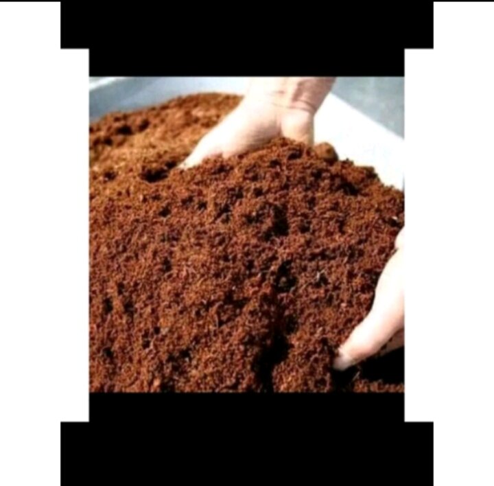 Cocopeat Serbuk Kelapa Halus Kg Repack Lazada Indonesia