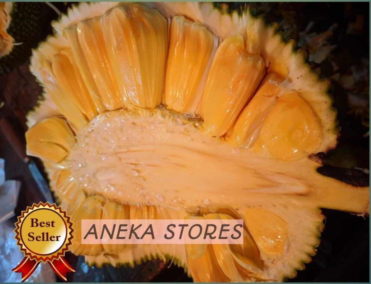 Nangka Manis Kupas Lazada Indonesia