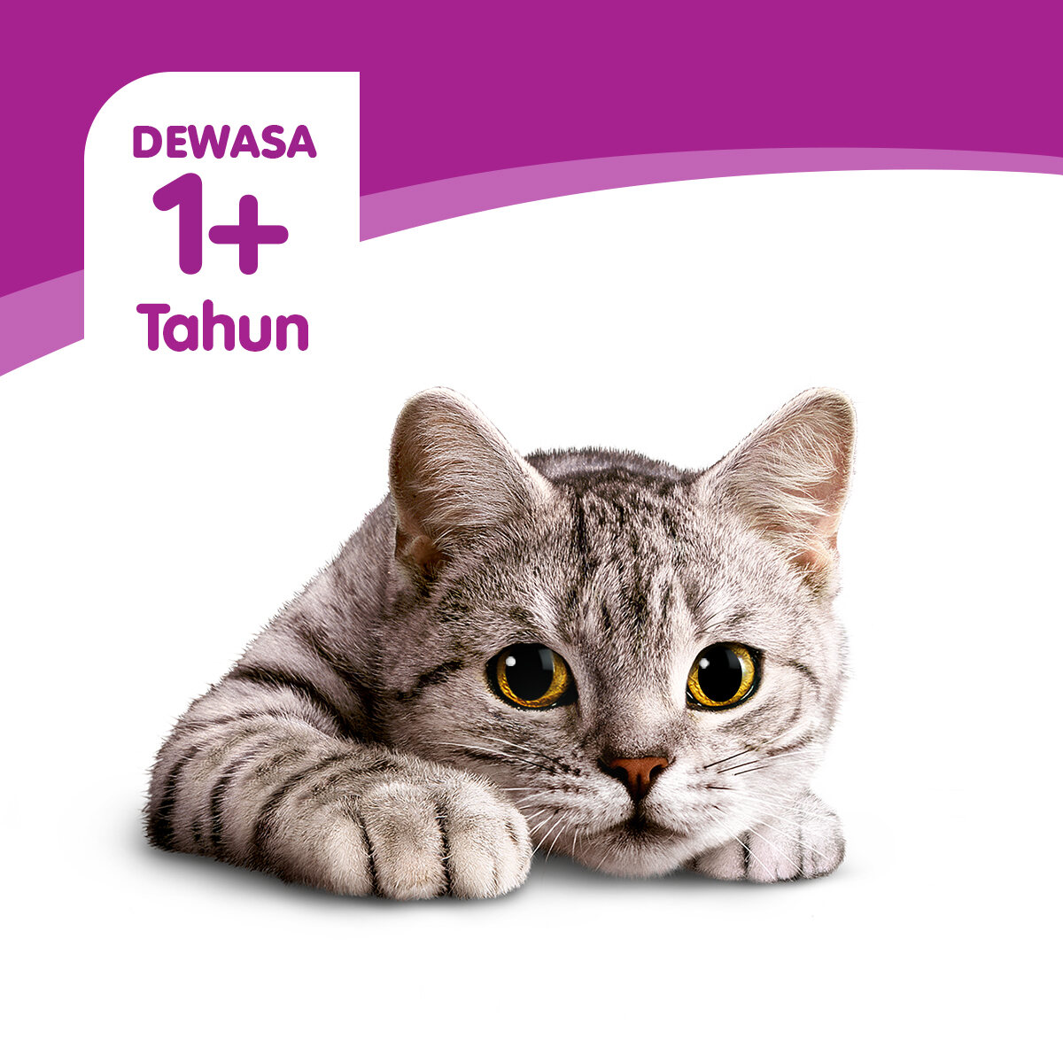 Whiskas Makanan Kucing Basah Pouch Multi Variant G Isi Lazada