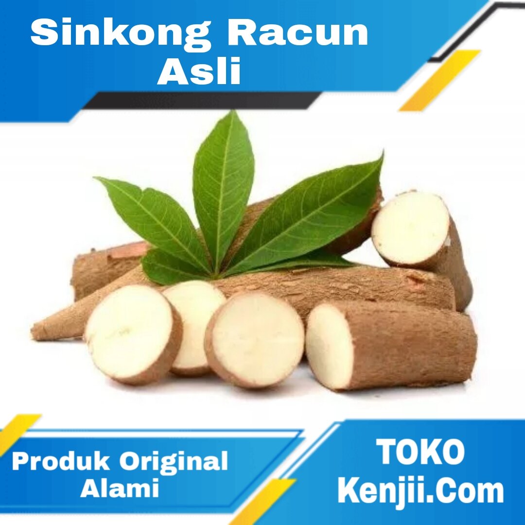 Singkong Racun Sapi Kuru 1 Kg Lazada Indonesia