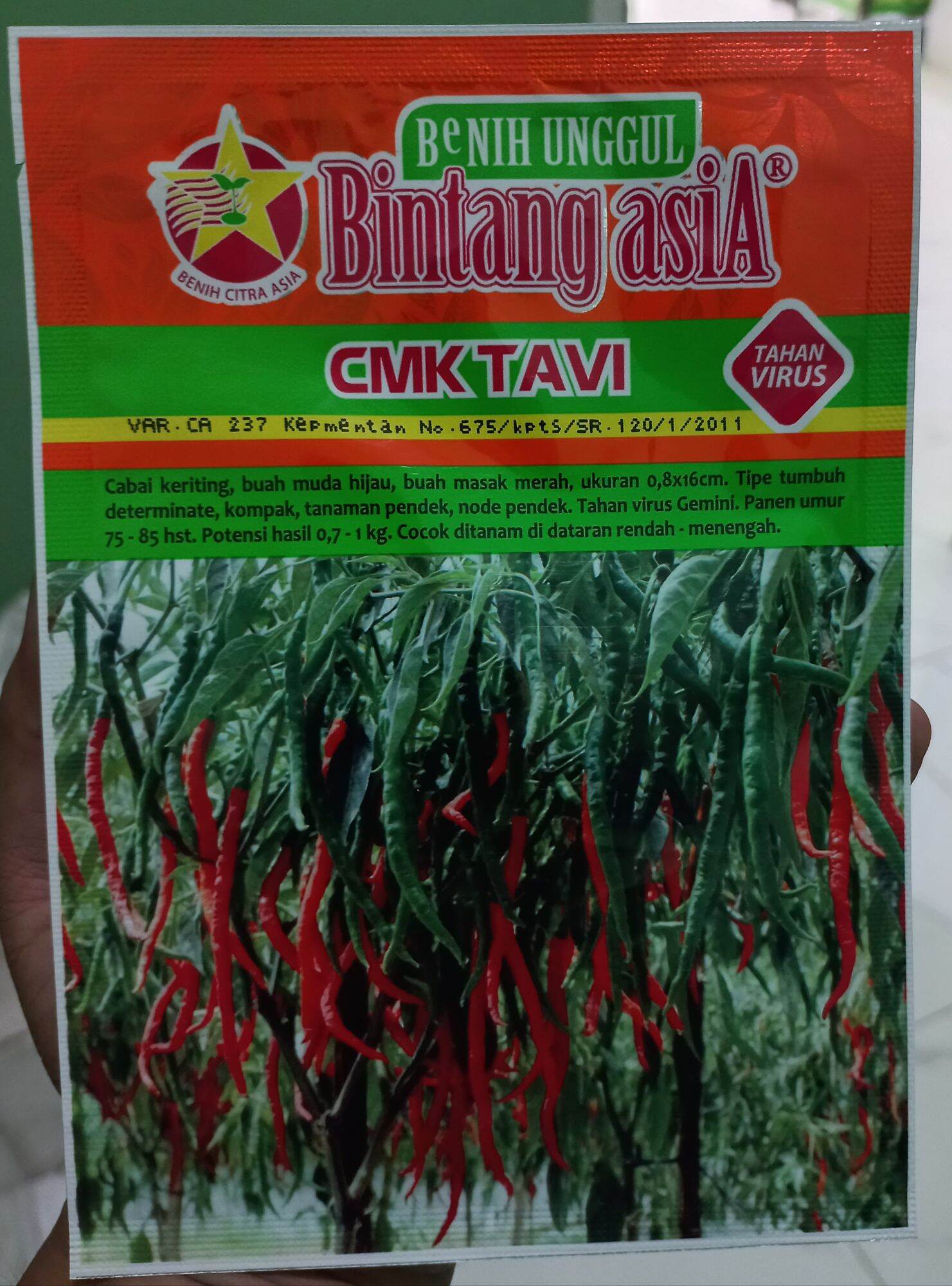 Benih Cabai Kriting CMK TAVI 10 Gram Bintang Asia Lazada Indonesia