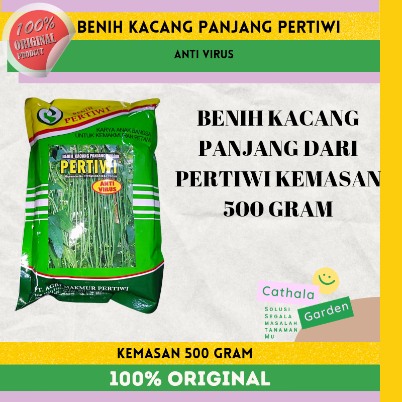 Benih Kacang Panjang Pertiwi Kemasan Gram Lazada Indonesia