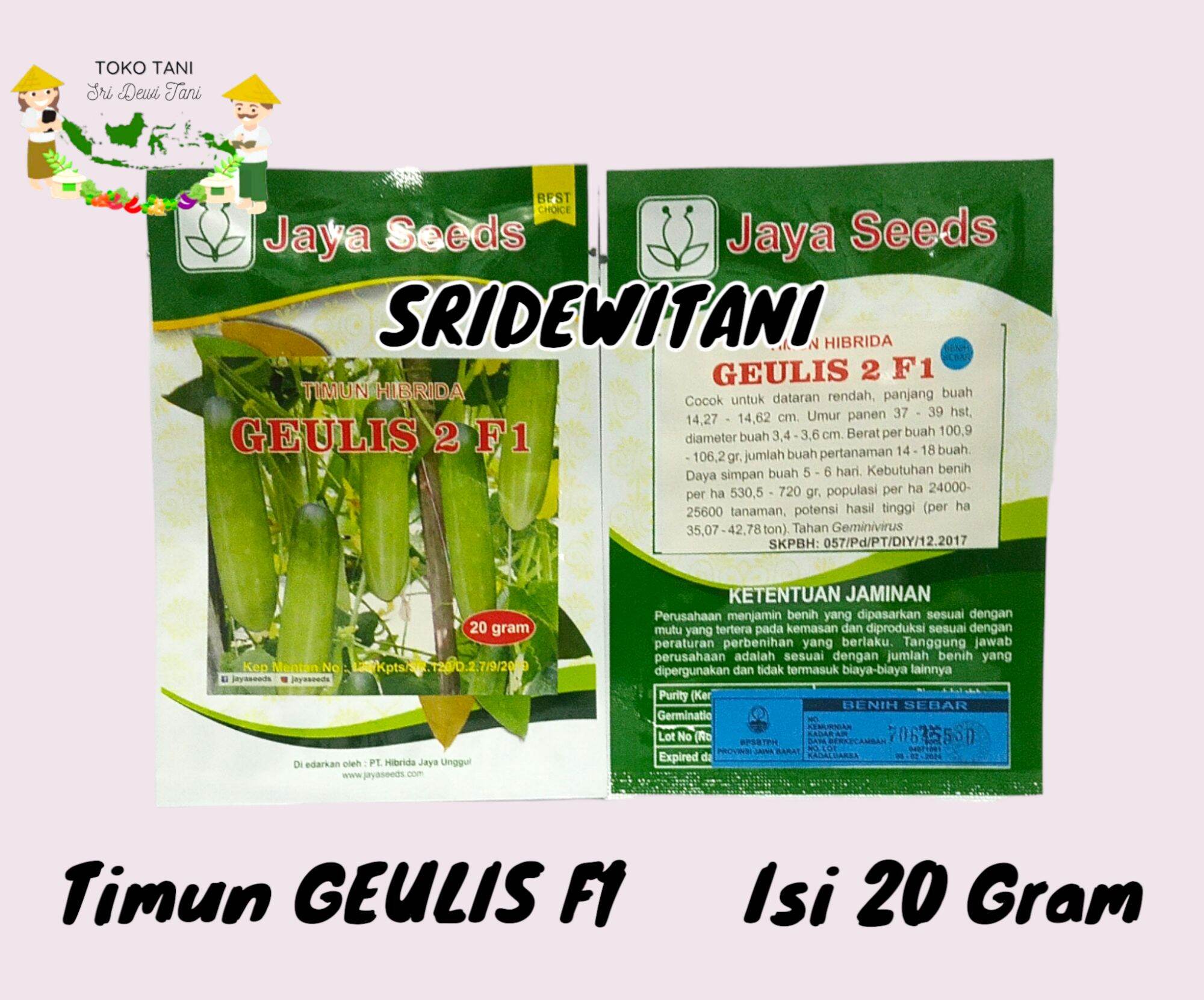 Geulis F Isi Gram Benih Bibit Timun Lalap Hibrida F Jaya Seed