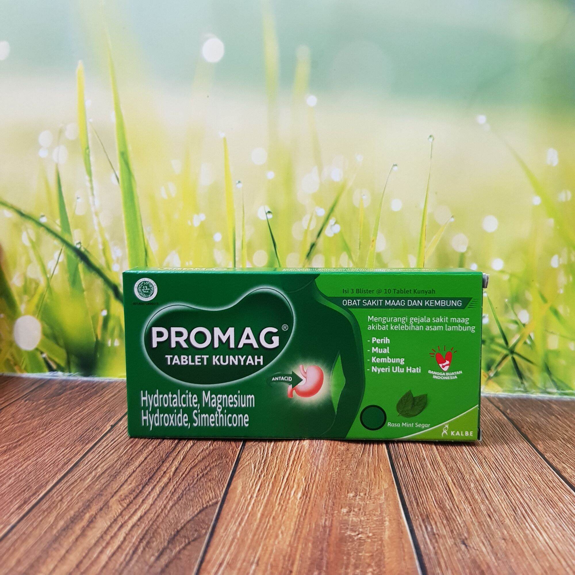 Promag Tablet Box Blister Isi Tablet Obat Sakit Maag Dan Kembung