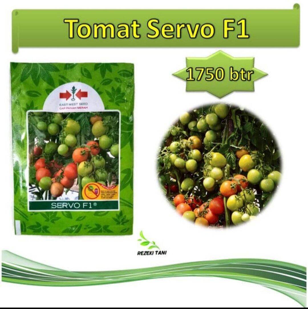 Benih Tomat Servo F1 1750 Butir Panah Merah Lazada Indonesia