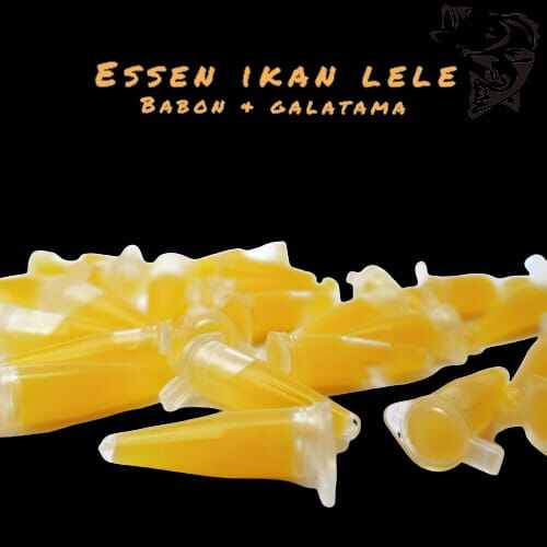 Essen Ikan Lele Essen Masamo Spesilis Ikan Lele Essen Ikan Mas Sekali