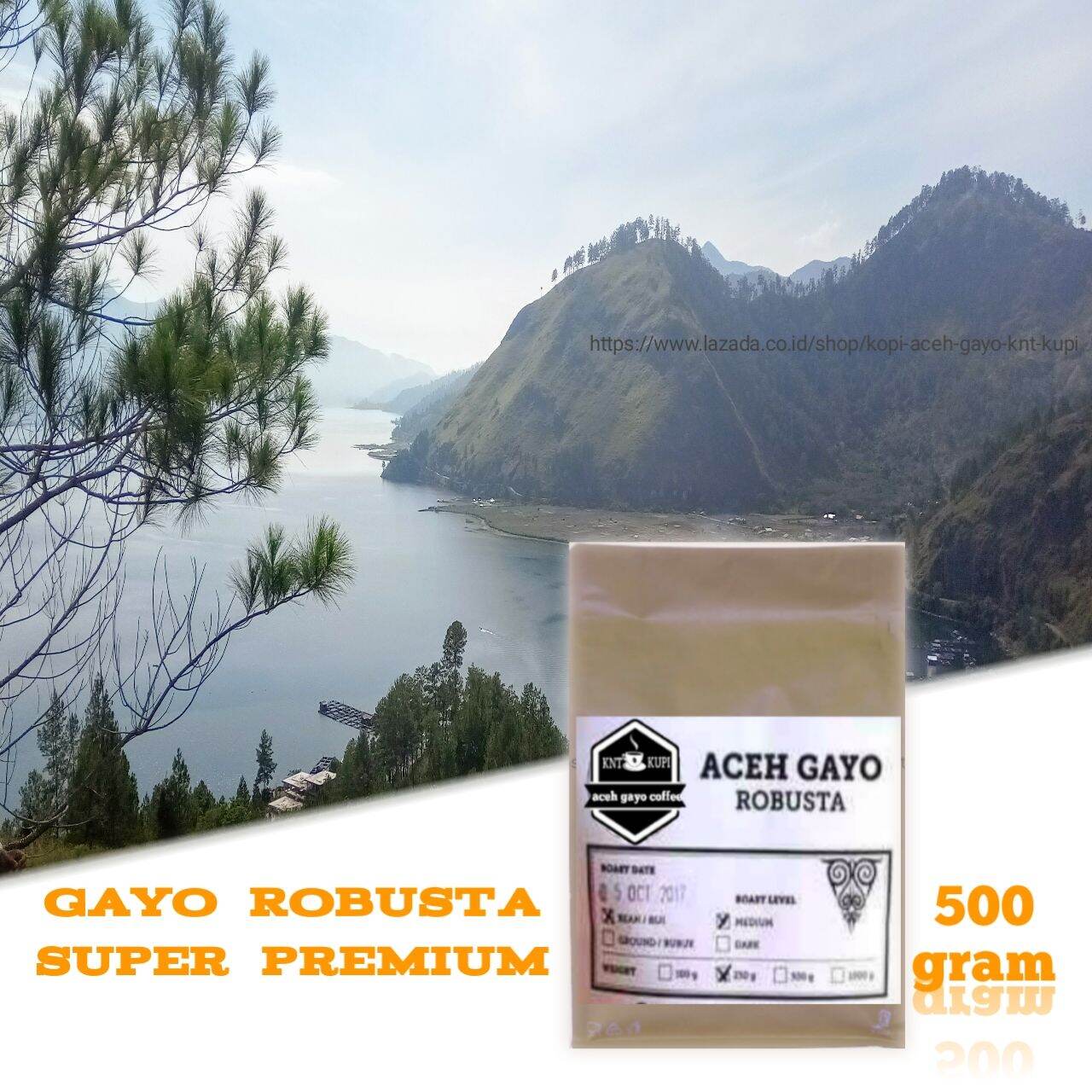 Original Aceh Robusta Gayo Premium Coffee Without Sugar Residue Super Premium 500Gram.