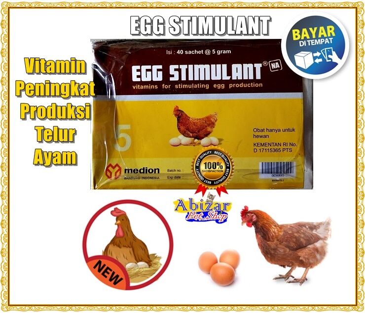Ayam Petelur Ngedrop