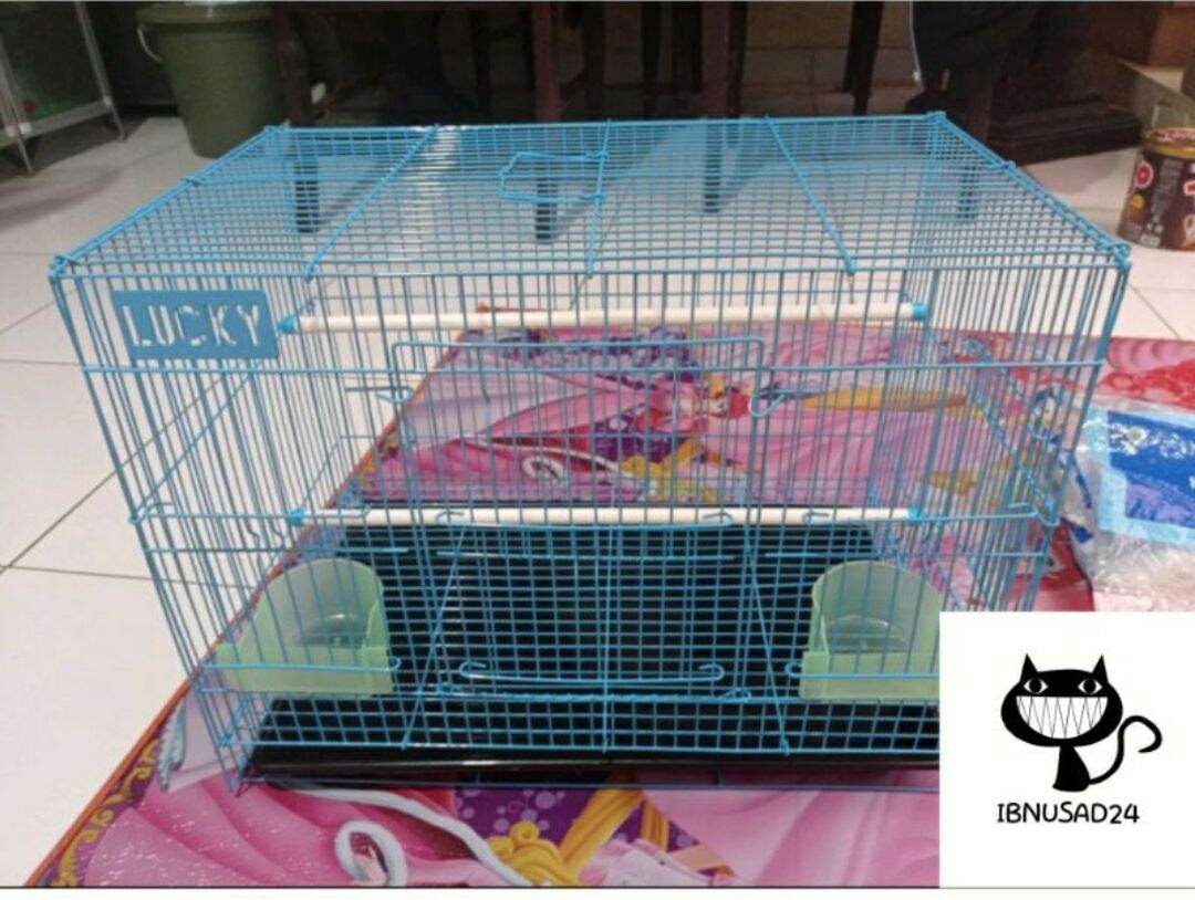 Jual kandang kucing besi no 1 Terbaru  Lazada.co.id