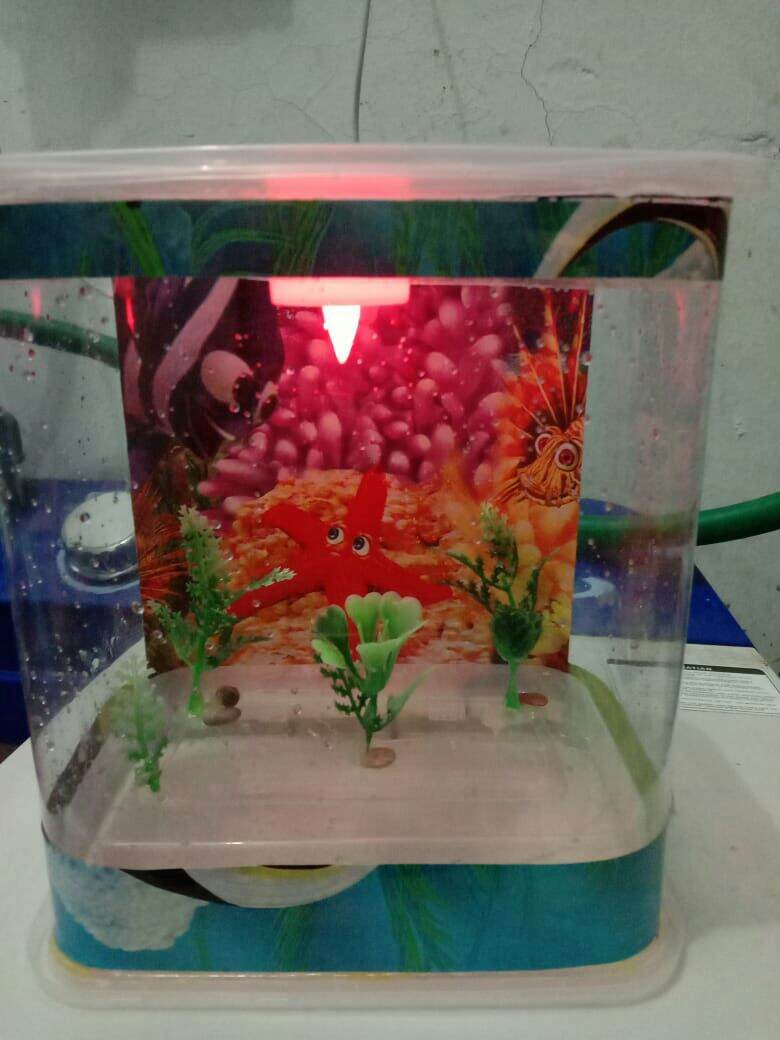 Aquarium Mini Mika Murah Lazada Indonesia Aquarium mini harga murah