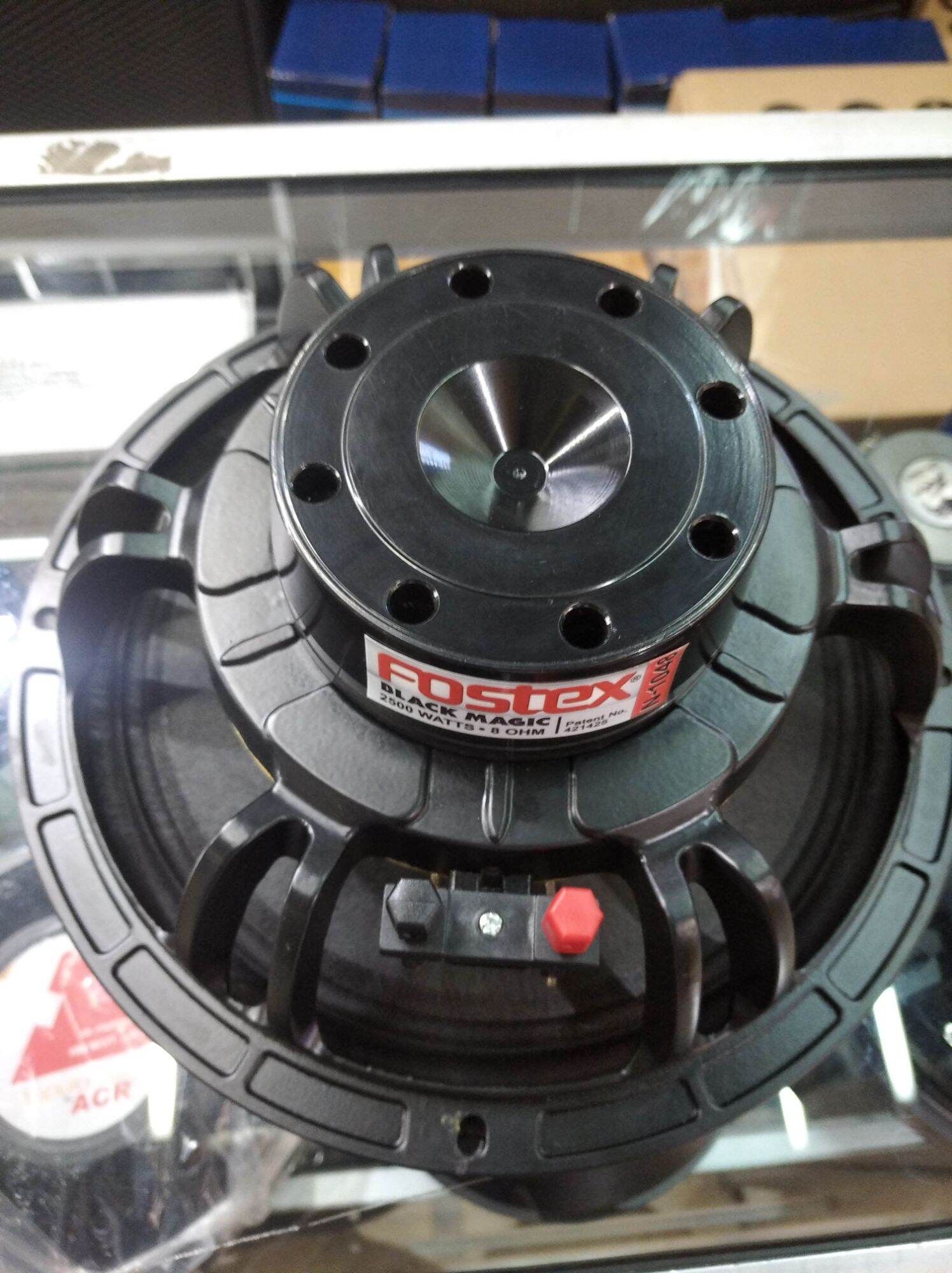 harga speaker fostex 10 inch