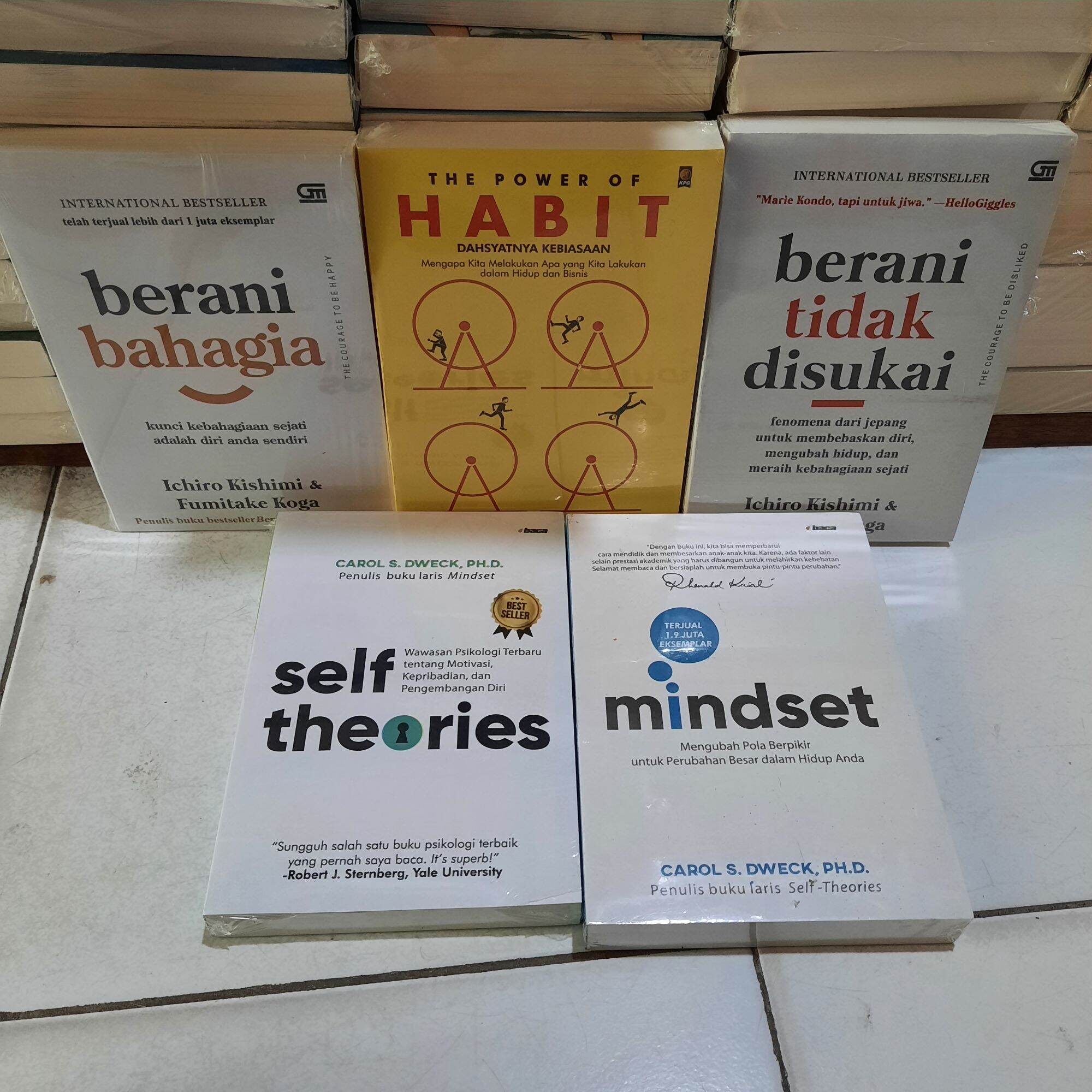 Paket 5 Buku Motivasi Mindset The Power Of Habit Berani Tidak