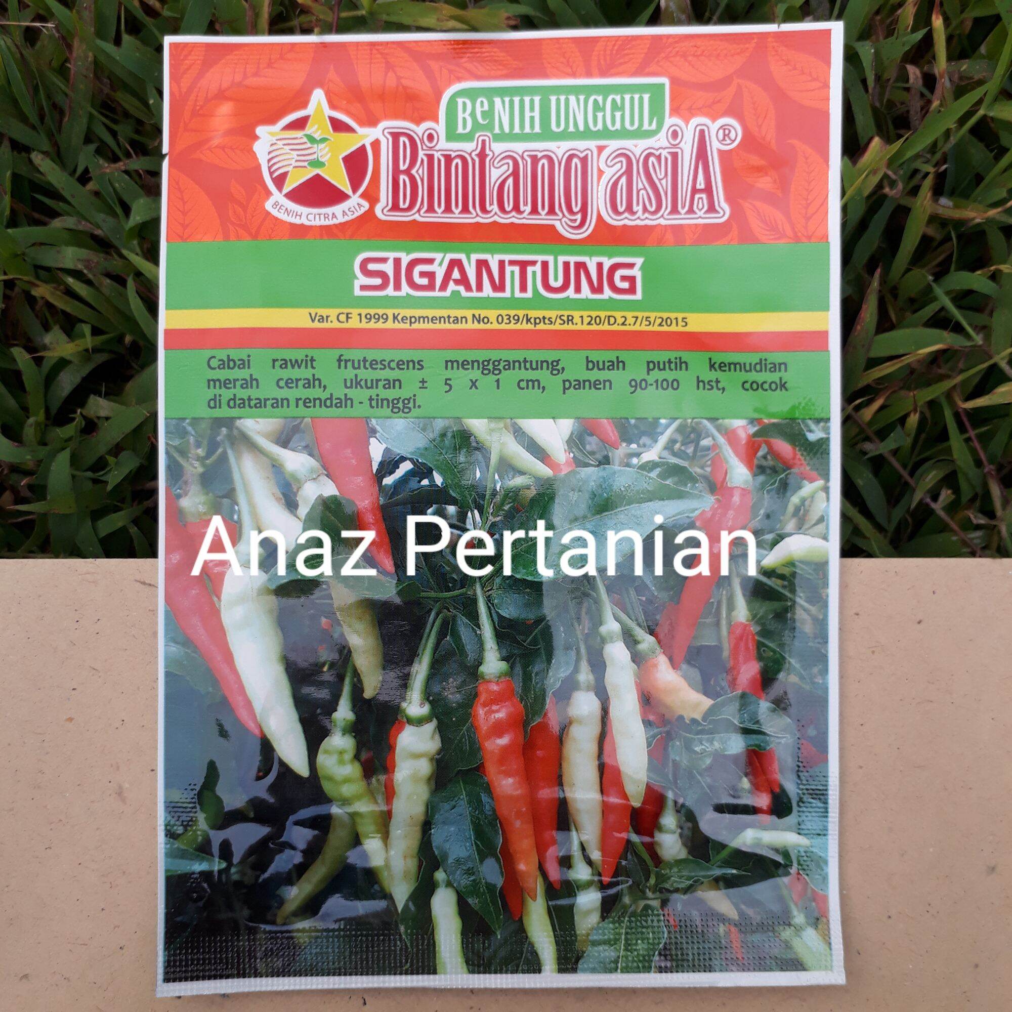 Benih Cabai Rawit SIGANTUNG 10 Gram Bintang Asia - Benih Cabe Rawit ...