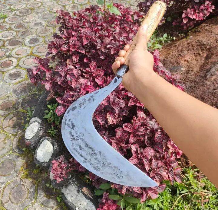 ALAT PANGKAS RUMPUT BAHAN BAJA ASLI ANTI MELEOT SUPER TAJAM | Lazada ...