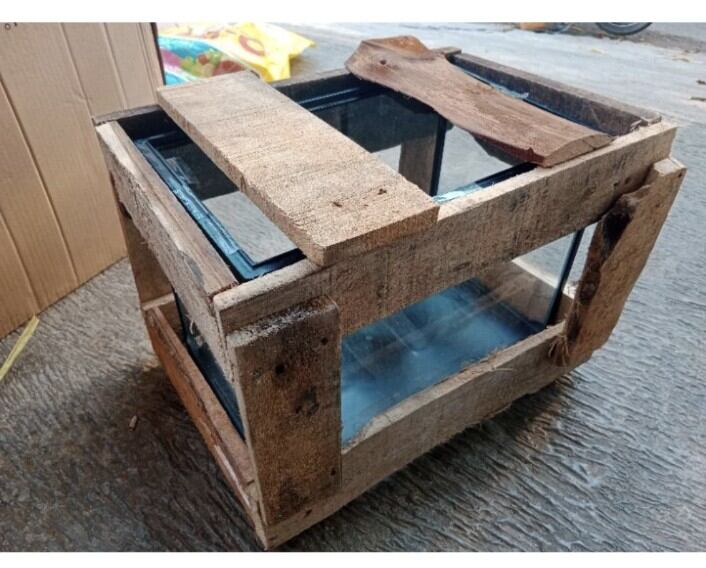 Tank Aquarium MINI PET HOME AQUARIUM REPTILE NIKITA STAR SIZE S + PACKING KAYU