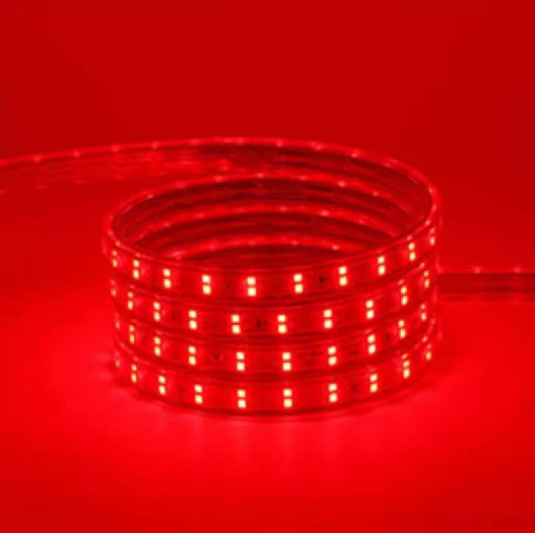 PAKET 20 METER LAMPU LED SELANG SMD 5050 220V 20M 15M 10M 5M METER Sudah Termasuk Soket Tinggal Langsung Pakai Lampu Dekorasi Plafon Lampu Hias Outdoor