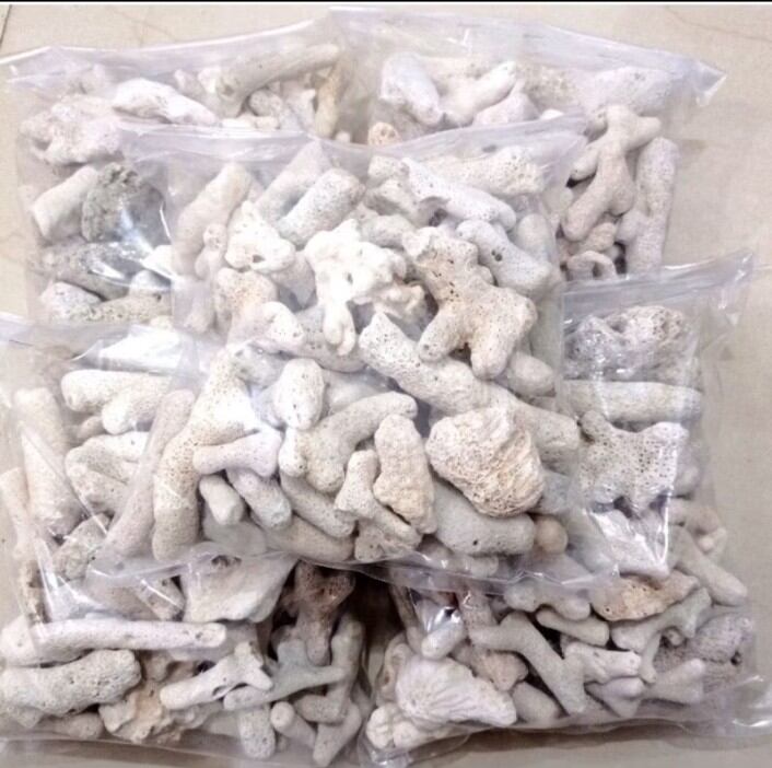 Media Filter Kolam Aquarium Karang Jahe 1kg